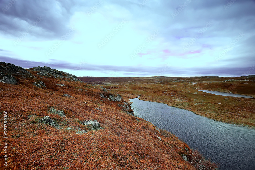 landscape tundra / summer landscape in the north tundra, moss, ecosystem