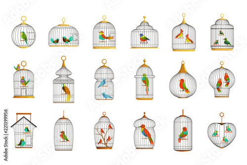 Bird cages with different birds set of vector Illustrations