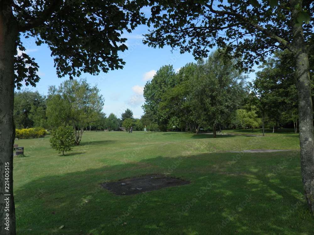 Obraz premium summer park