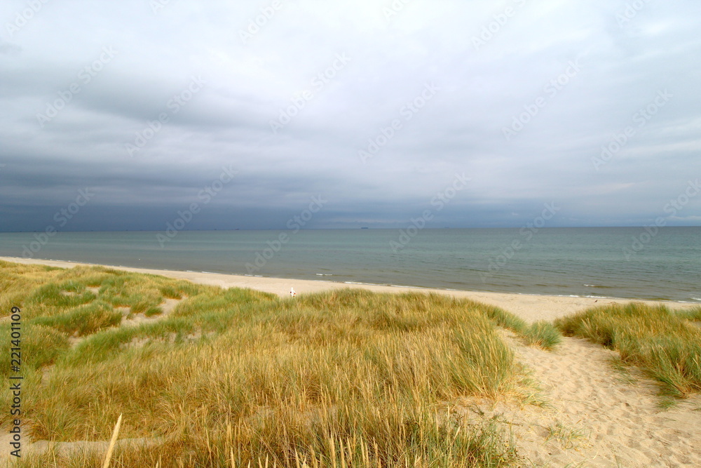 Northern beach in Denmark: grey sky