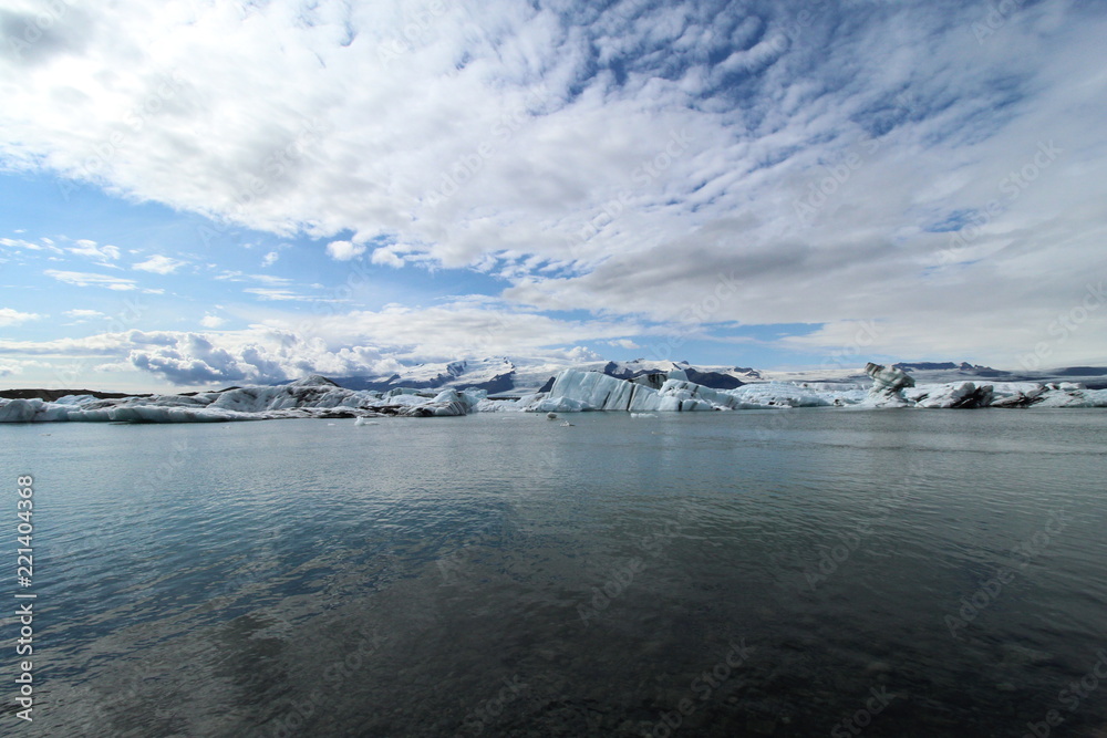 Ice lagoon in Iceland: icebergs and wildlife