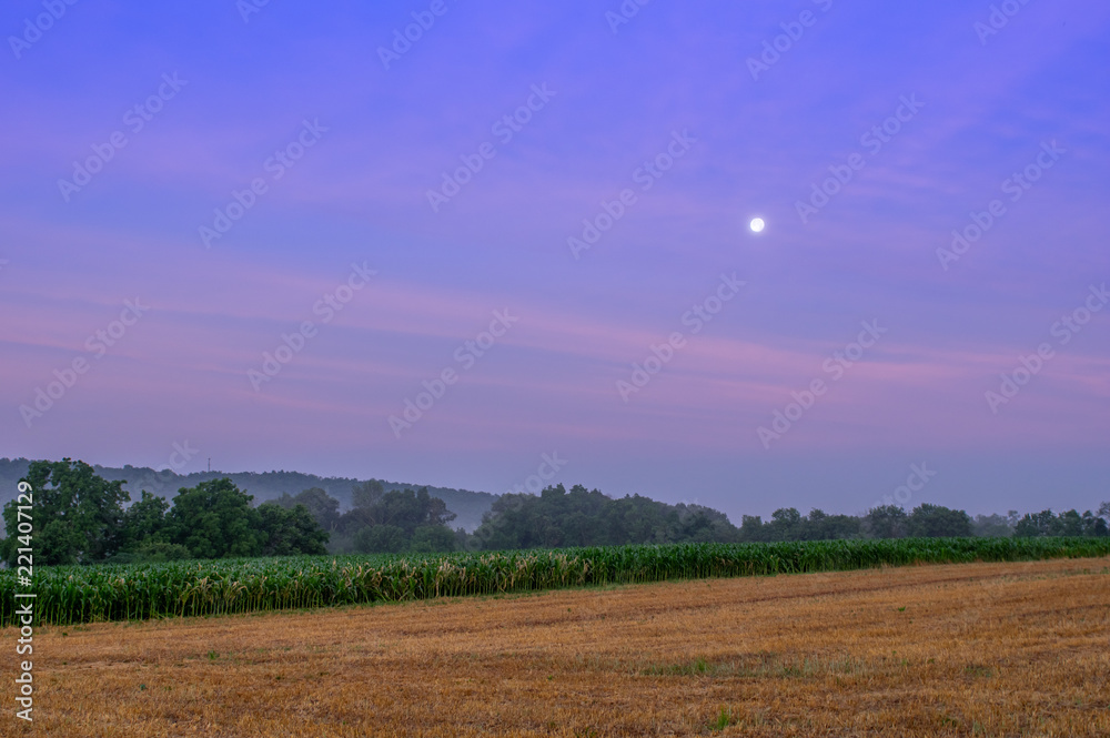 Moon in the Sky Above Fields