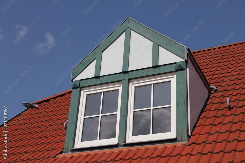 Dachfenster mit rotem Ziegeldach 3