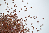 linen seeds on the white background