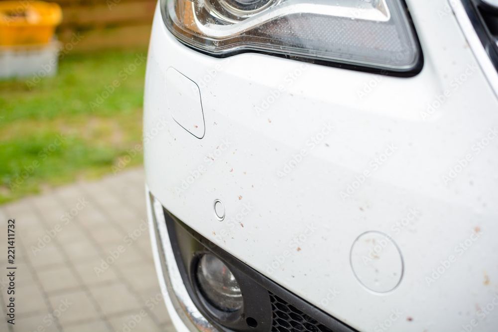 Insekten Schmutz Stoßstange weißes Auto Scheinwerfer Photos