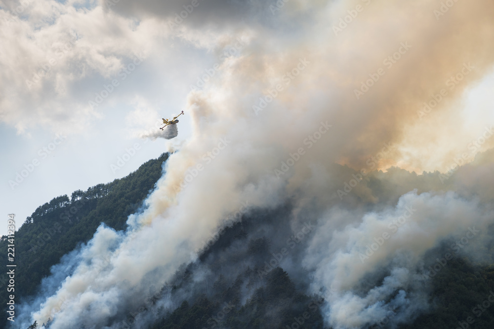 Aerial firefighting with Canadair plane on a big wildfire. Firemen on a ...