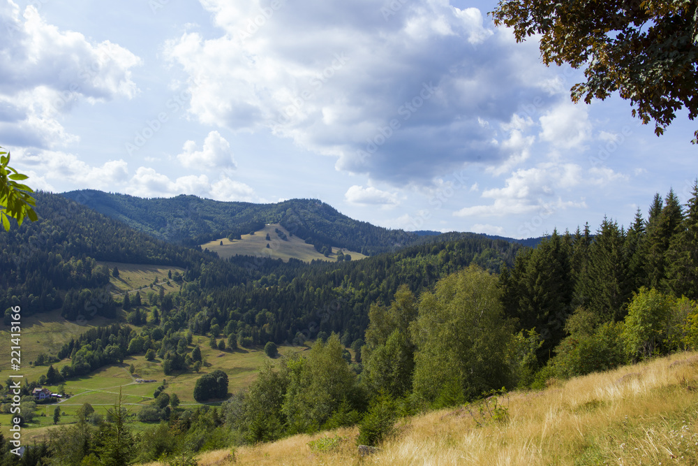 View over the valley near the village Menzenschwand in the Black Forest