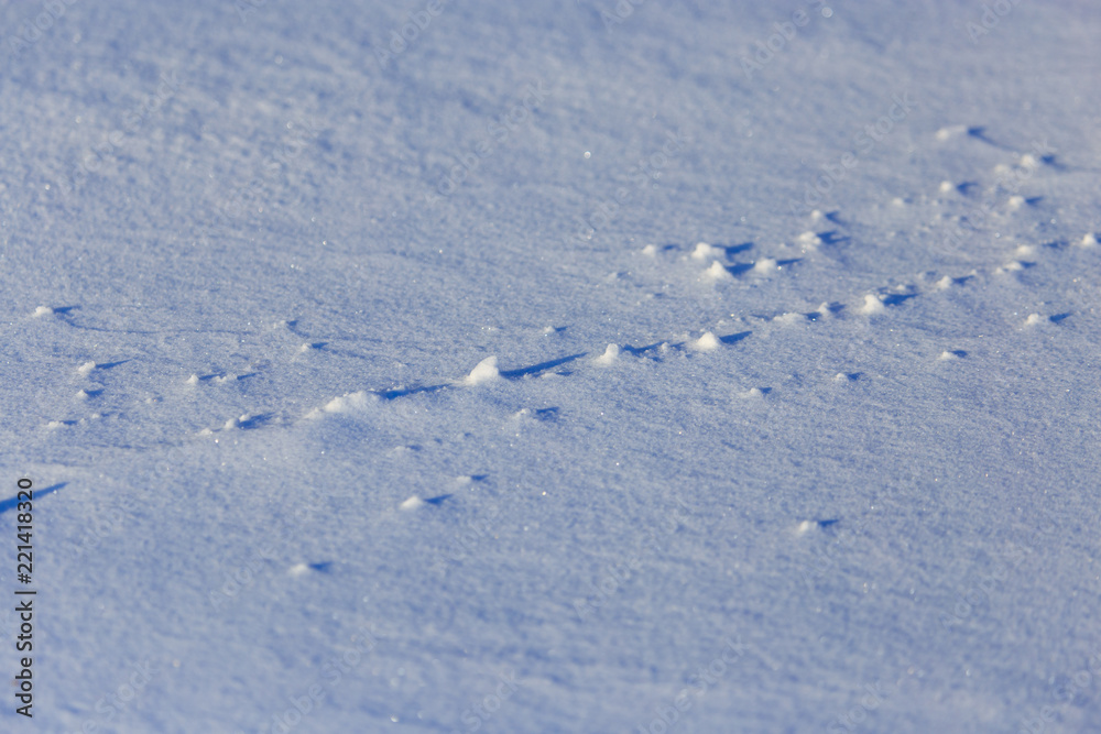 Cold snow on nature in winter as background Cold snow on nature in winter as background