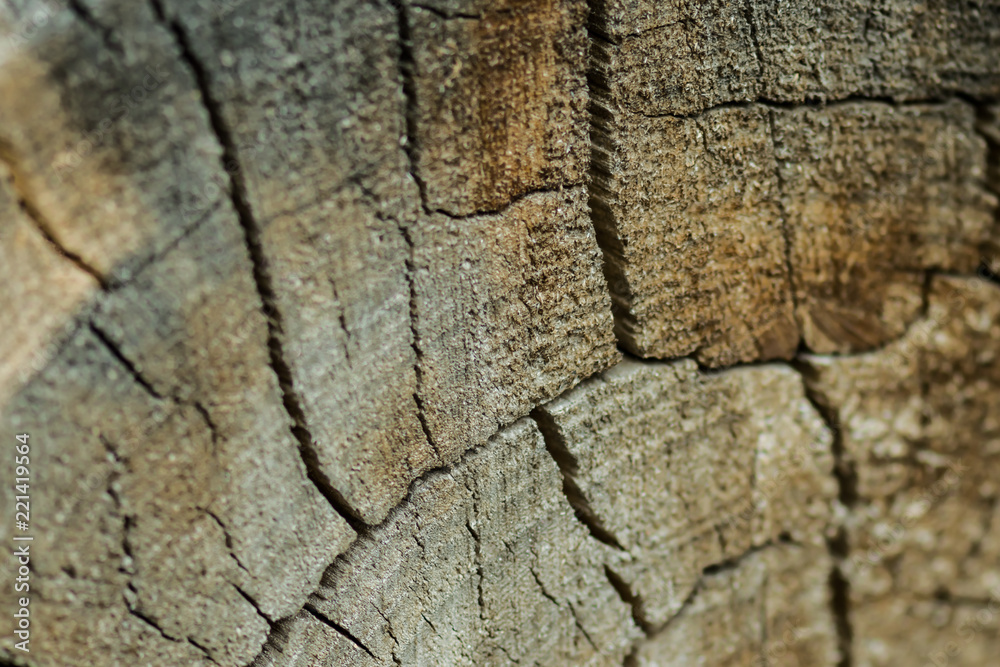 Brown logs made of wood Brown logs made of wood