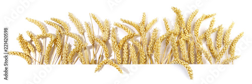 Canvas-taulu Weizen Ähren - Weizenähren Panorama Freigestellt