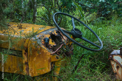 Plakat old rusty mowing machine in dense grass.