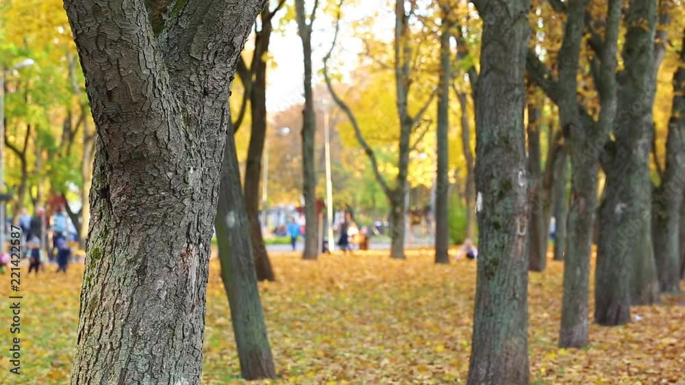 Many blurry people and families having good time at fall golden beautiful city park outdoor. Real time full hd video footage. Many blurry people and families having good time at fall golden beautiful city park outdoor. Real time full hd video footage.