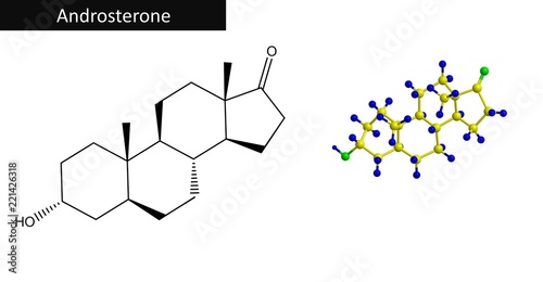 Molecular structure of hormone Androsterone, 3D rendering photo