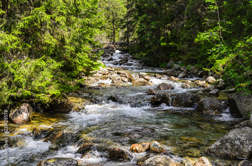 Mountain river. Beautiful scenery in the forest.