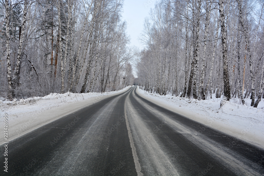 Snowy winter road in pine and birch forest.The Northern part of Russia Snowy winter road in pine and birch forest.The Northern part of Russia