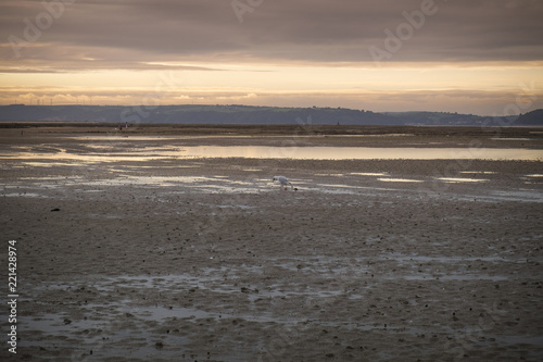 Sunset over Carmarthen Bay estuary at low tide