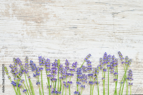 Fototapeta Naklejka Na Ścianę i Meble -  Lavender flowers on white wooden background. Copy space, top view. Summer background.