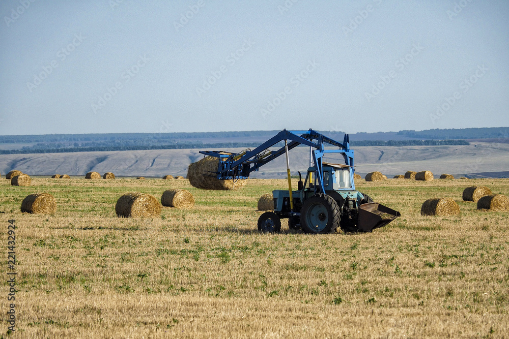 Obraz premium farm work in autumn on the field