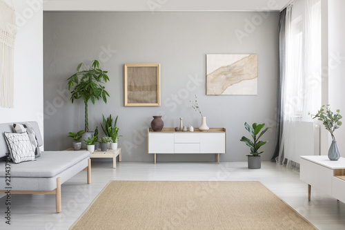 Real photo of bright Nordic style living room interior with fresh plants  white cupboard  window with drapes  grey sofa and big carpet on the floor