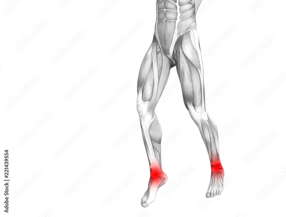 Conceptual ankle human anatomy with red hot spot inflammation or articular joint pain for leg health care therapy or sport muscle concepts. 3D illustration man arthritis or bone osteoporosis disease Conceptual ankle human anatomy with red hot spot inflammation or articular joint pain for leg health care therapy or sport muscle concepts. 3D illustration man arthritis or bone osteoporosis disease