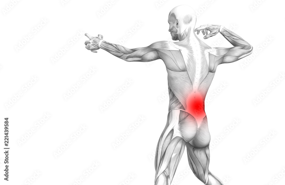 Conceptual back human anatomy with red hot spot inflammation articular joint pain or spine health care therapy or sport muscle concepts. 3D illustration man arthritis or bone sore osteoporosis disease Conceptual back human anatomy with red hot spot inflammation articular joint pain or spine health care therapy or sport muscle concepts. 3D illustration man arthritis or bone sore osteoporosis disease