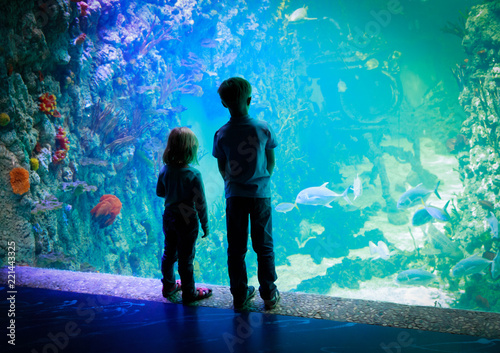 Fototapet kids-boy and girl- watching fishes in aquarium