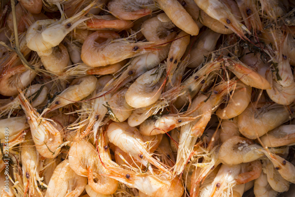 A lot of cooked shrimps.