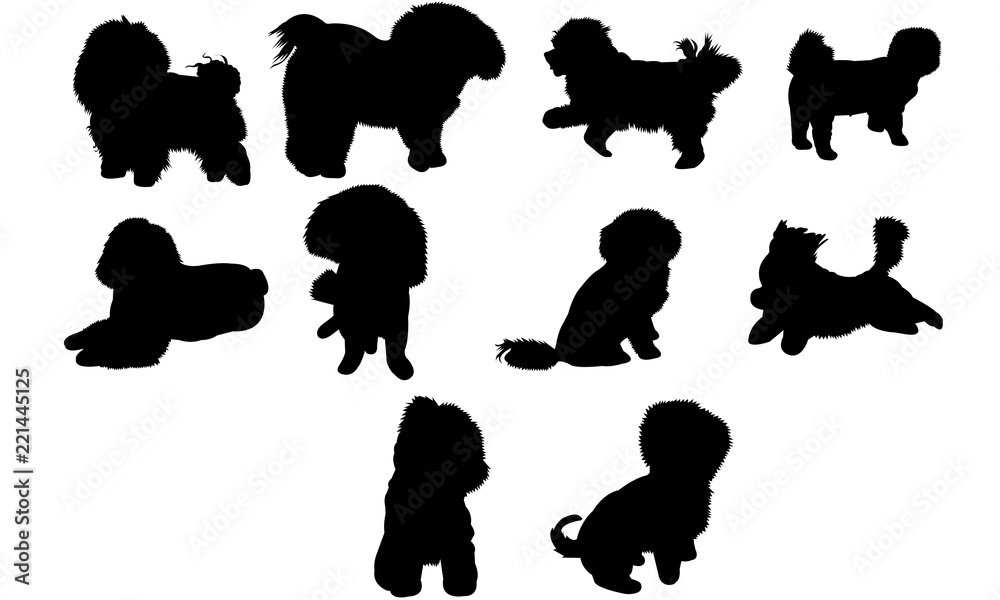 Bolognese Dog svg files cricut, silhouette clip art, Vector