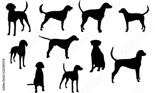 American Foxhound svg files cricut,  silhouette clip art, Vector illustration eps, Black  overlay