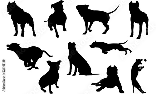 Free Free 280 Bull Terrier Svg Free SVG PNG EPS DXF File