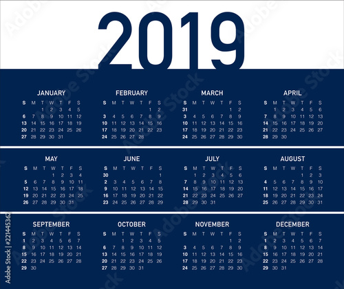 Year 2019 calendar vector design template