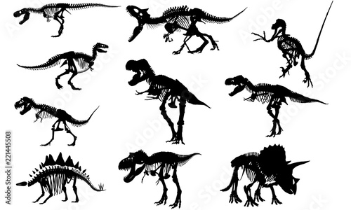 Fossils Dinosaur svg files cricut,  silhouette clip art, Vector illustration eps, Black  overlay