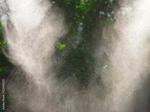 Fototapeta Naklejka Na Ścianę i Meble -  Tropical jungle / rainforest in mist in the early morning. Concept of exploration.
