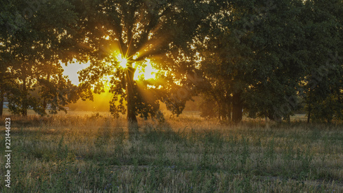 Abendstimmung