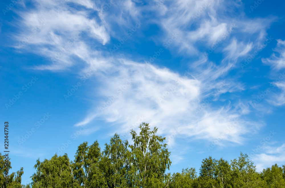 Textured background of blue sky with clouds and forest