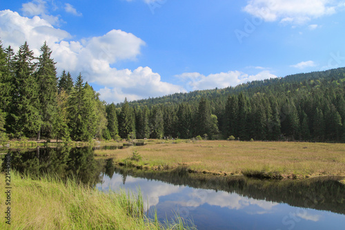 Kleiner Arbersee, National Park Bayerischer Wald