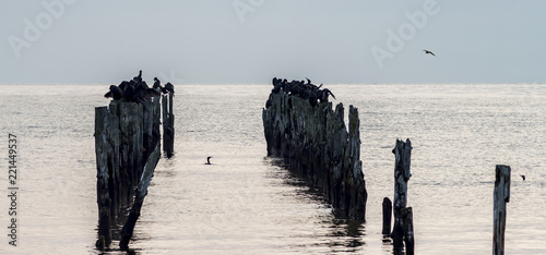 Old abandoned pier, Baltic Sea, Europe
