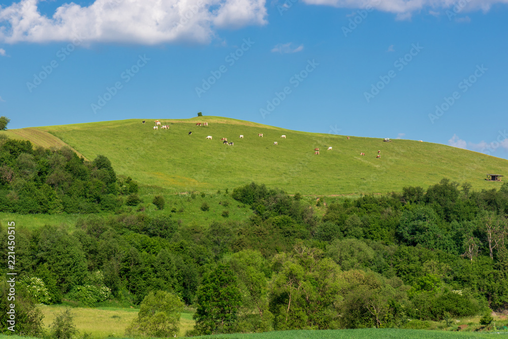 Picturesque, spring mountain landscape, Low Pieniny Picturesque, spring mountain landscape, Low Pieniny