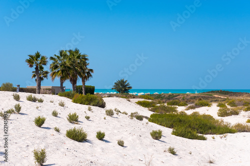 Saadiyat Public Beach, Saadiyat Island, Abu Dhabi, UAE