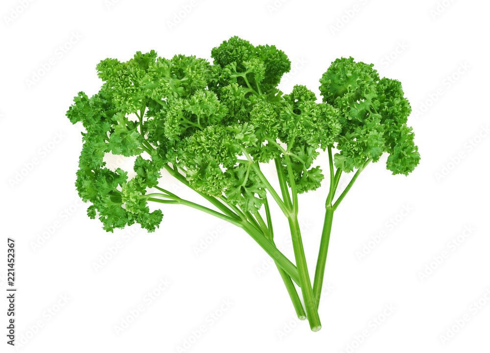 Parsley isolated on white background Parsley isolated on white background