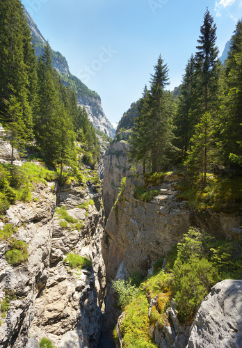 View of a deep limestone gorge Gletscherschlucht nearby resort of Grindelwald, Switzerland