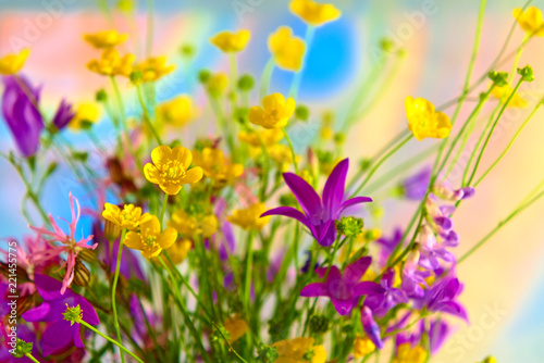 A bouquet of wild flowers.