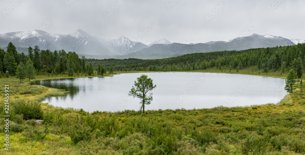 Fototapeta premium Nature of Altai mountains