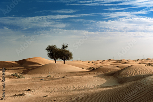 Scenic View of Sharjah Desert