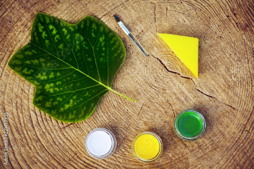 Leafs brush paints wooden circles 