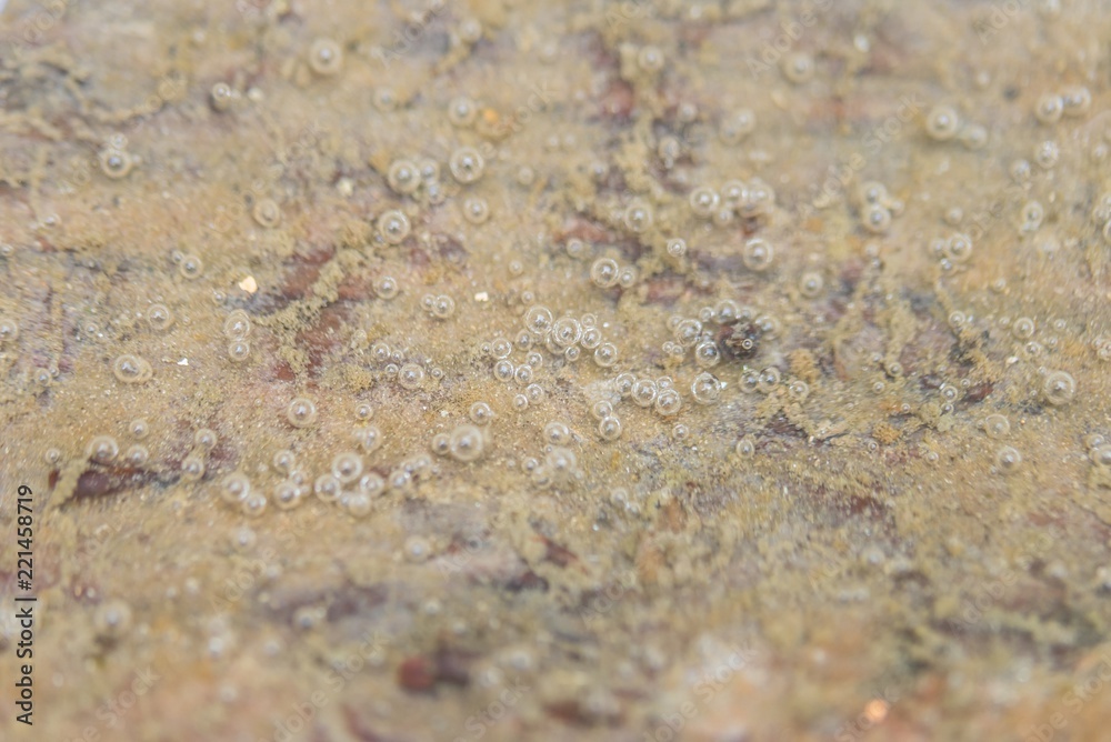 Luftblasen am Grund eines Wassertroges Luftblasen am Grund eines Wassertroges