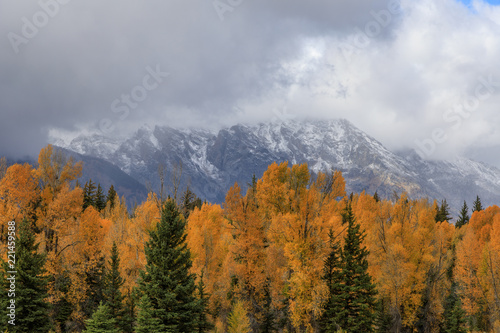 Grand Teton National Park Autumn Landscape