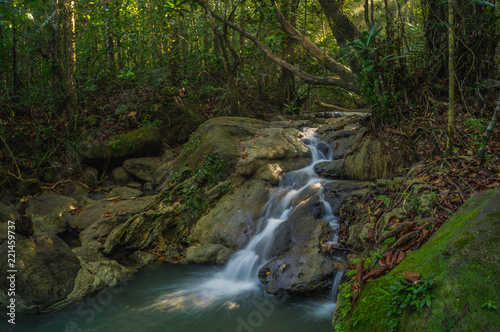 stream in the forest