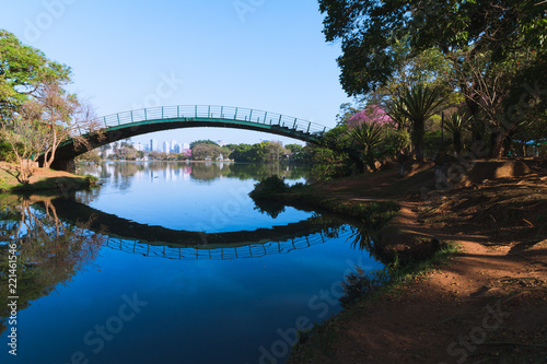 The bridge over the lake
