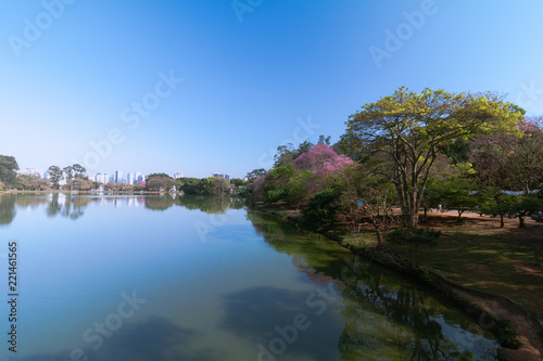 The Ibirapuera Lake and trees